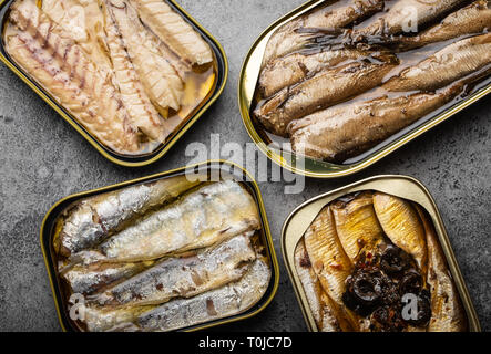 Le poisson en conserve dans une boîte en fer Banque D'Images