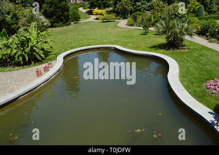 Bel étang ovale avec de l'eau boueuse et les plantes dans le parc avec pelouse. Banque D'Images