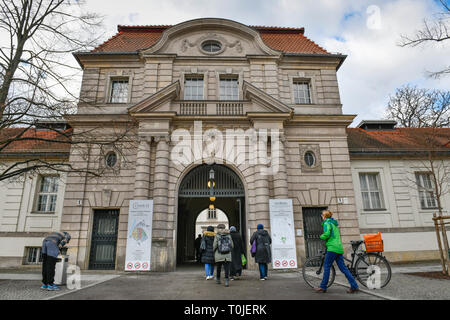 Charite, Virchow medical center, Augustenburger place, Mariage, milieu, Berlin, Allemagne, Virchow-Klinikum, Augustenburger Platz, Mitte, Deutschland Banque D'Images