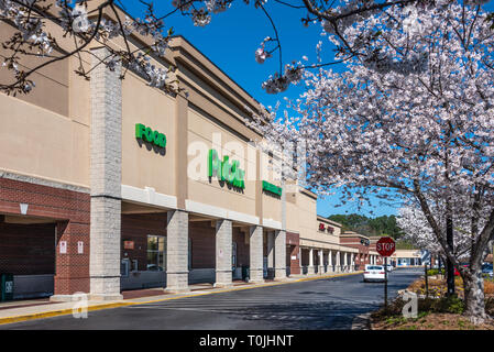 Publix Super Marché (les plus importants appartenant à des employés de la chaîne de supermarchés aux États-Unis) à Lawrenceville (Métro Atlanta, Géorgie). (USA) Banque D'Images