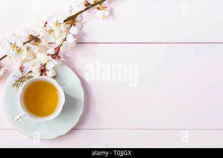 Tasse de thé et de fleurs de printemps (fleurs d'un abricot) sur une table en bois de rose clair. Banque D'Images