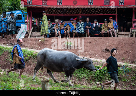 Tana Toraja, au sud de Sulawesi, Indonésie. 14Th Mar, 2019. Les résidents sont vus au cours de la Solo Rambu rituel des funérailles à Tana Toraja de Sulawesi du Sud, District.Rambu Solo est un cortège funèbre pour la Tana Toraja communauté pour honorer leurs ancêtres. La procession se compose de plusieurs dispositions de l'événement et dure plusieurs jours. Credit : Hariandi Hafid/SOPA Images/ZUMA/Alamy Fil Live News Banque D'Images