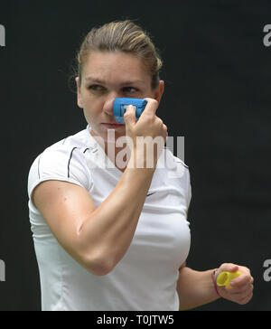 Miami Gardens, Florida, USA. 20 mars, 2019. Miami Gardens, Florida, USA. Mar 20, 2019. Applique un écran solaire : Simona durant la journée portes ouvertes de Miami 3.  : Simona est un joueur de tennis professionnel roumain. La Women's Tennis Association son monde classé n°1 en simple à deux reprises entre 2017 et 2019. Elle atteint le rang n° 1 pour la première fois le 9 octobre 2017. Sur sa deuxième occasion, elle a tenu le classement pendant 48 semaines consécutives. Présenté par Itau au Hard Rock Stadium le 20 mars 2019 à Miami Gardens, Florida Personnes : Crédit : Simona : tempêtes Media Group/Alamy Live N Banque D'Images