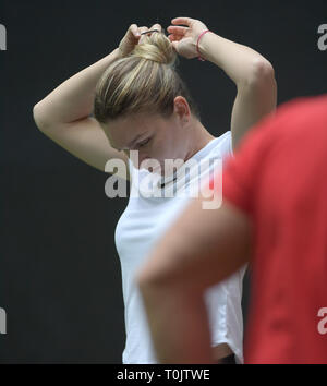 Miami Gardens, Florida, USA. 20 mars, 2019. Miami Gardens, Florida, USA. Mar 20, 2019. Applique un écran solaire : Simona durant la journée portes ouvertes de Miami 3.  : Simona est un joueur de tennis professionnel roumain. La Women's Tennis Association son monde classé n°1 en simple à deux reprises entre 2017 et 2019. Elle atteint le rang n° 1 pour la première fois le 9 octobre 2017. Sur sa deuxième occasion, elle a tenu le classement pendant 48 semaines consécutives. Présenté par Itau au Hard Rock Stadium le 20 mars 2019 à Miami Gardens, Florida Personnes : Crédit : Simona : tempêtes Media Group/Alamy Live N Banque D'Images