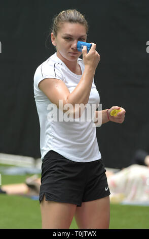 Miami Gardens, Florida, USA. 20 mars, 2019. Miami Gardens, Florida, USA. Mar 20, 2019. Applique un écran solaire : Simona durant la journée portes ouvertes de Miami 3.  : Simona est un joueur de tennis professionnel roumain. La Women's Tennis Association son monde classé n°1 en simple à deux reprises entre 2017 et 2019. Elle atteint le rang n° 1 pour la première fois le 9 octobre 2017. Sur sa deuxième occasion, elle a tenu le classement pendant 48 semaines consécutives. Présenté par Itau au Hard Rock Stadium le 20 mars 2019 à Miami Gardens, Florida Personnes : Crédit : Simona : tempêtes Media Group/Alamy Live N Banque D'Images