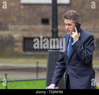 Londres 20 mars 2019, Gavin Williamson, MP PC, le secrétaire de la Défense, arrive à Downing Street pendant une choric après-midi autour du Premier ministre annonce Brexit , , Londres Credit Ian Davidson/Alamy Live News Banque D'Images