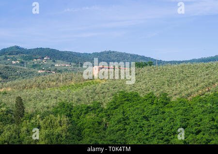 Toscane verdoyante avec vignes, oliviers, bois, de fermes et de la ville sous le ciel bleu Banque D'Images