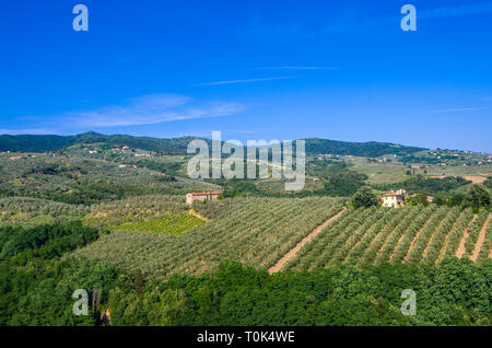 Toscane verdoyante avec vignes, oliviers, bois, de fermes et de la ville sous le ciel bleu Banque D'Images