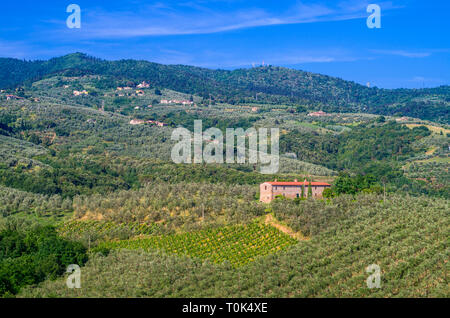 Toscane verdoyante avec vignes, oliviers, bois, de fermes et de la ville sous le ciel bleu Banque D'Images