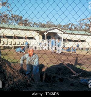 PAUL NEWMAN, Cool Hand Luke, 1967 Banque D'Images