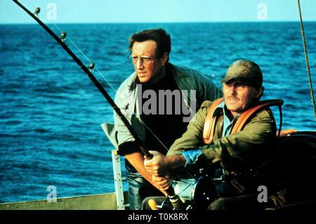 ROY SCHEIDER, ROBERT SHAW, JAWS, 1975 Banque D'Images