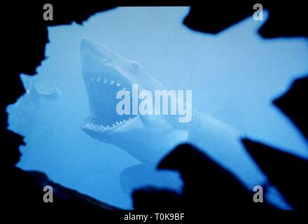 GREAT WHITE SHARK, JAWS, 1975 Banque D'Images