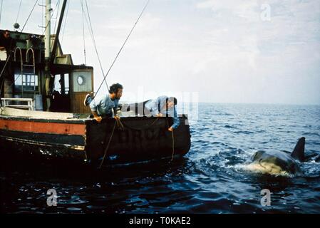 RICHARD DREYFUSS, ROBERT SHAW, JAWS, 1975 Banque D'Images