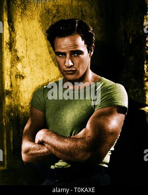 MARLON BRANDO, A Streetcar Named Desire, 1951 Banque D'Images