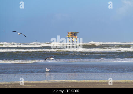 La plate-forme de production en mer près de l'île néerlandaise d'Ameland, plage, vagues et les mouettes dans l'avant-plan Banque D'Images