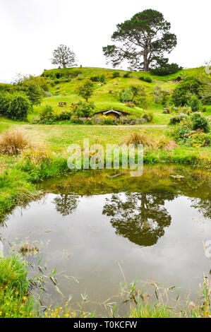 Hobbiton Movie Set - Emplacement pour le Seigneur des Anneaux et Le Hobbit films. Maisons fin sac arbre de chêne, principale attraction de la région de Waikato, Nouvelle-Zélande Banque D'Images