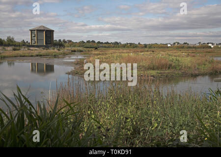 Peacock Tower hide London Wetland Centre London Banque D'Images