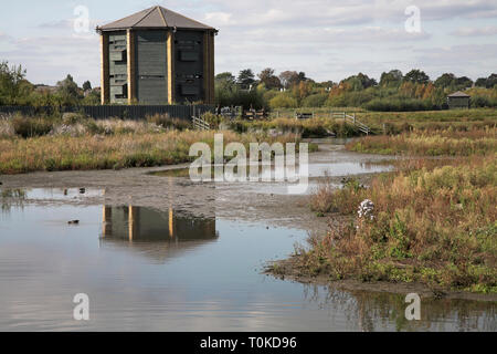 Peacock Tower hide London Wetland Centre London Banque D'Images
