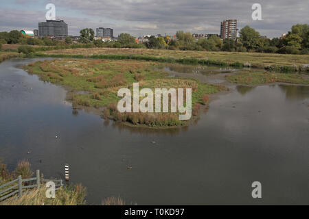 Vue depuis la tour de paon hide London Wetland Centre London Banque D'Images