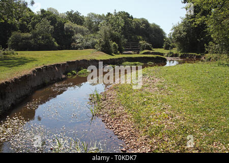 Pelouse Mill Brook près de Burley Parc national New Forest England UK Banque D'Images