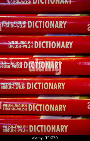 Pile de gallois rouge / English Dictionary books Banque D'Images