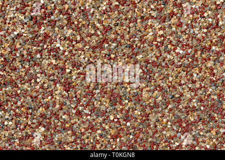 La texture du plâtre décoratif sur la base de petites pierres en marbre de couleur et d'une masse adhésive acrylique composition, close-up abstract background, Close up. Mix o Banque D'Images