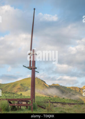 Kore, Riri Hauhau pôle de cérémonie, Maraekowhai, fleuve Whanganui, Ruapehu, Nouvelle-Zélande Banque D'Images