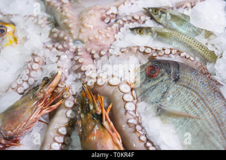 Grande variété de poissons et fruits de mer sur le marché de poissons affichage glace Banque D'Images