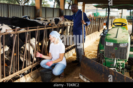 Portrait de deux employés travaillant en étable on farm Banque D'Images