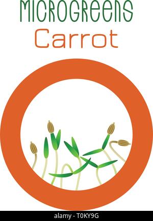 Microgreens carotte. La conception des emballages de semences, l'élément rond au centre. Supplément de vitamines, de nourriture vegan Illustration de Vecteur