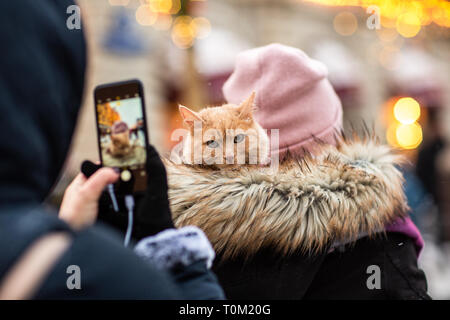 Droit de l'arrière de woman in pink hat au gingembre cat sur son épaule. Banque D'Images