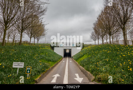 Le tunnel au jour de test pour la 77e réunion du membre à Goodwood Motor Circuit, Chichester, West Sussex, UK Banque D'Images