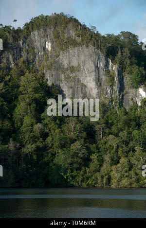 Clifface, avec arbres et falaise exposée, Raja Ampat, Papouasie occidentale, Indonésie Banque D'Images