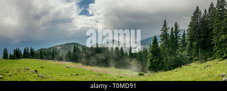 Paysages de montagne épique avec ciel bleu et de pins et de brume. L'augmentation de brouillard dans le beau paysage Banque D'Images