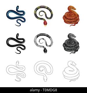 ,Amphibiens,serpent anaconda,coral,python,animal,rouge,bleu,noir,cobra,blanc,vert,tropiques,jungle,la queue,viper,forêt,Chypre,serpent,pharmacie,mammifère,royal,danger,nature,poison,médecine,le mal,mal,bouchée,peau,reptiles,set,icône,,illustration,collection,isolé,design,graphisme,élément,signe, vecteurs vecteur , Illustration de Vecteur