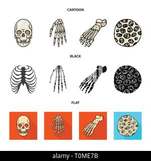 Crâne,poignet,foot,mort,fibres,vente,cheville,sain,monster,calcium,scientifique,mal,structure de la podologie,horreur,muscle du bras, l'avant-pied,épithélium,tatouage,carpe,DE,panneaux,épiderme,chef,health,les pieds plats,oeil,tendon,xray,circulation,cell,médecine, biologie médicale,clinique,os,squelette,anatomie,des,organes,,set,icône,,illustration,collection,isolé,design,graphisme,élément vecteur vecteurs,signer , Illustration de Vecteur