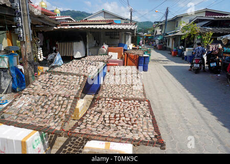 Le poisson cru, vidé et coupé en deux, est en train de sécher sur une grille au soleil, village de pêcheurs Hua Thanon, Koh Samui, Golfe de Thailande, Thaïlande Banque D'Images