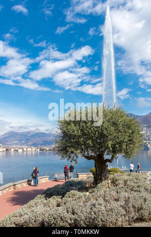 Lugano, Suisse - 10 mars 2019 : Fontaine dans la ville de Lugano, un olivier dans la partie italienne de la Suisse Banque D'Images