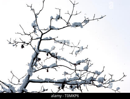 La Suède, l'hiver plus froid,  , saison, régions, le gel, les températures, la glace, la neige Banque D'Images