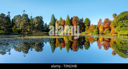 Réflexions d'automne à Bedgebury Pinetum National et de la forêt, dans le Kent. Banque D'Images