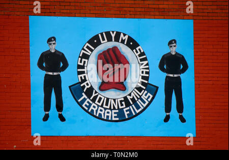 Wandbild/ murale, das den Buegerkrieg erinnert und die Miliz 'UYM - Ulster' Jeunes Militants ehrt, im protestantischen Teil der Naehe, j'en de Banque D'Images