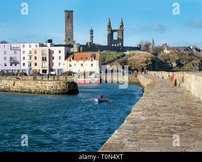 Bateau à rames entrant dans le port de St Andrews sur un matin de printemps ensoleillé Fife St Andrews Scotland Banque D'Images