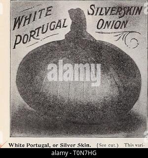 Dreer 1907 livre du jardin (1907) Le jardin 1907 Dreer livre dreers1907jardin1907henr Année : 1907^HEHRYADREER 28 TUT (J&gt;HILAKLPHIA^- A-^^- TTTH FIABLES LES GRAINES DE LÉGUMES GRAINES OIGNON CHOIX-suite. i/" blanc Portugal, ou l'argent de la peau. (Voir coupe.) Cette variété est l'un des principaux genres, blanc et est de très belle forme et saveur douce Les ampoules sont de forme plate et de maturité précoce. C'est une magnifique variété tant pour l'usage de la famille et le maraîcher, et est très largement utilisé pour la culture définit en raison de sa shaoe quand les petits, et aussi pour sa bonne conservation. C'est aussi exten Banque D'Images