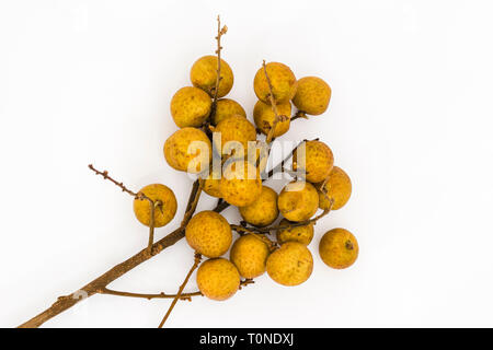 Bouquet de fruits (Dimocarpus longan longane) sur un fond blanc Banque D'Images