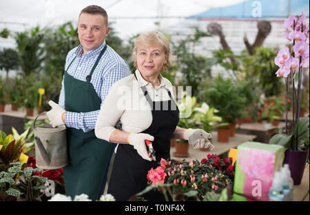 Deux jardinier secateur arrosoir et prennent soin des fleurs sur leur lieu de travail en serre. Banque D'Images