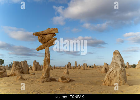 Formations calcaires naturelles et empilés dans le Désert des Pinnacles en Australie occidentale - le Parc National de Nambung Banque D'Images