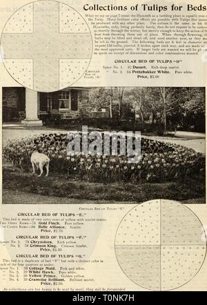 L'Dreer, 1913 Catalogue automne (1913) d'automne Dreer, catalogue 1913 dreersautumncata1913henr Année : 1913 HrllltNI^DRKRWIIADaPHIA 10^WBlil^B F0R1ALLPANTING- Collections de tulipes pour lits. /Hat nous dites à la page 7 sur la Jacinthe aquatique dans l'est tout aussi vrai de la tulipe. De nombreux effets de couleurs brillantes sont possibles avec des tulipes qui ne peuvent être produits avec une autre plante. La culture est la même que pour les jacinthes, seulement, être parfaitement hardy, ils n'ont pas besoin d'être couvert si fortement tout au long de l'hiver, mais seulement assez pour maintenir l'action du gel à partir de les jeter de pla Banque D'Images