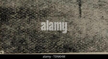 Dong bei guo ping ping guo dong bei broche broche zhong jie shuo dongbeipingguopi00xion Banque D'Images