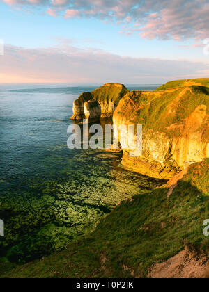 Les falaises de craie et de la mer du Nord à l'aube sur un beau matin d'été près de Flamborough Head, Yorkshire, UK. Banque D'Images