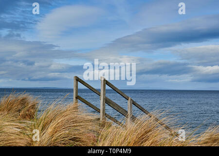 Plage de FINDHORN MORAY ECOSSE LA MOUSSE DE MER ET MARCHES DE BOIS QUI MÈNENT À LA MER Banque D'Images